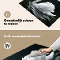 Zwaan - Water - Natuur - Realistisch - Wit Inductie beschemer met haakjes klein -ky-schoon-nl