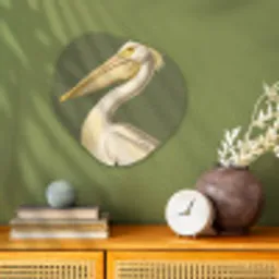 Pelikaan - Wit - Vogel - Klassiek - Natuur Wandcirkel Organisch Forex 3mm klein -sfeer2