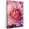 Dahlia - Bloem - Close up - Roze Tuinposter op houten frame 2 cm dik klein -3d