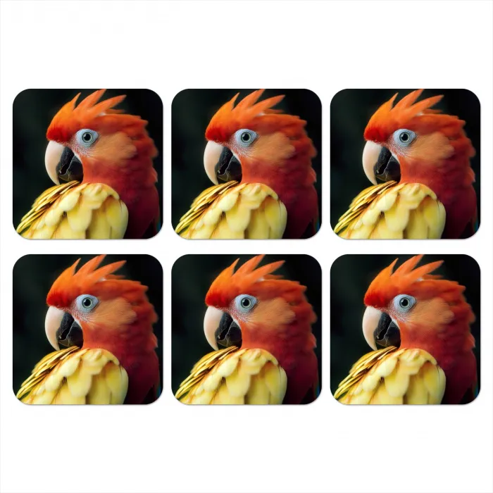 Close-up - Papegaai - Veren - Oranje onderzetter kurk middel -3d