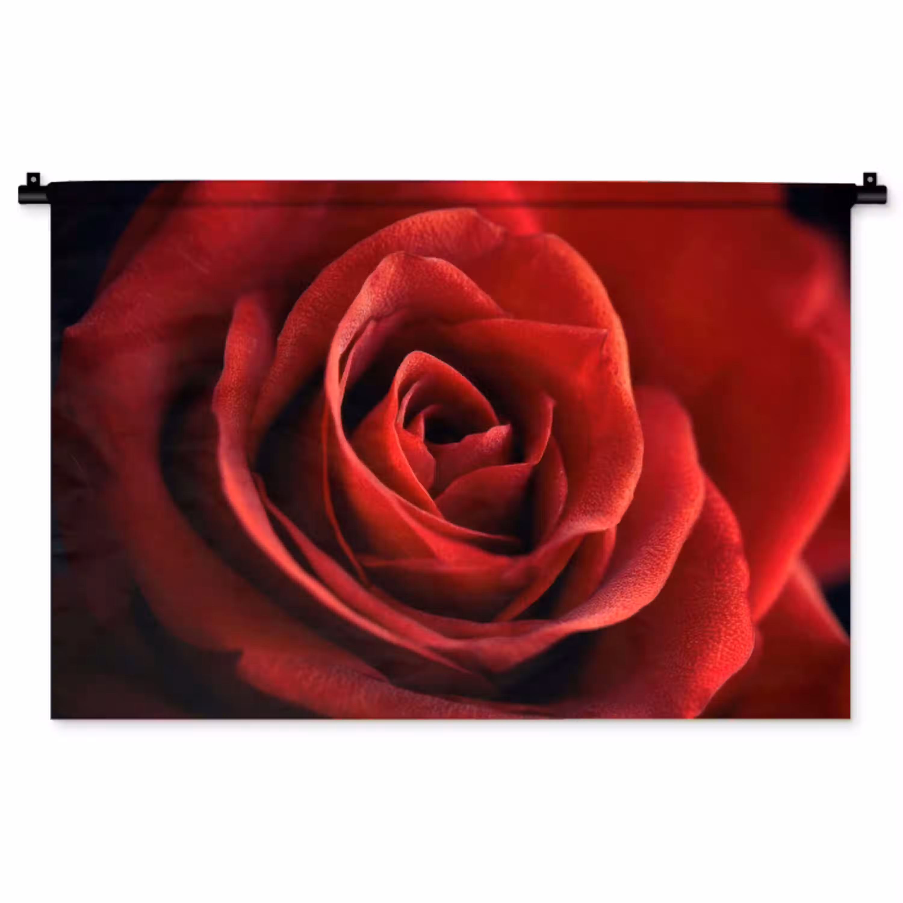 Rood - Roos - Romantisch Wandkleed katoen middel -zz3d
