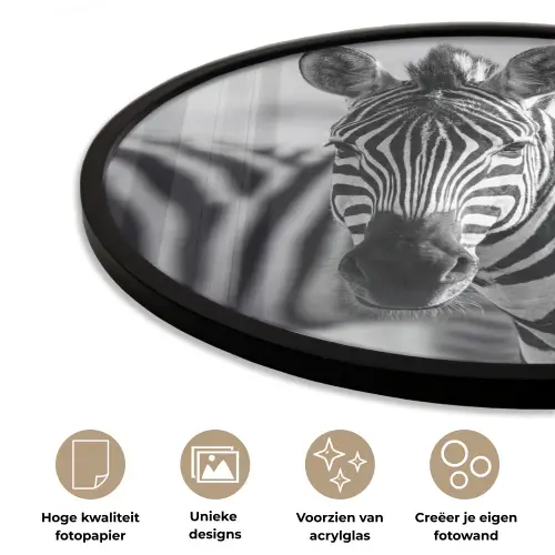 Zebra's - Zwart - Wit Fotolijst rond zonder passe partout klein -closeup_NL