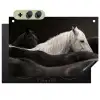 Paarden - Zwart - Wit - Kudde Inductie beschemer met haakjes klein -3d