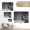 Bengaal - Kat - Tafelkleed - Zwart - Wit - Dier tuinposter los doek klein -Xsfeer9_DE