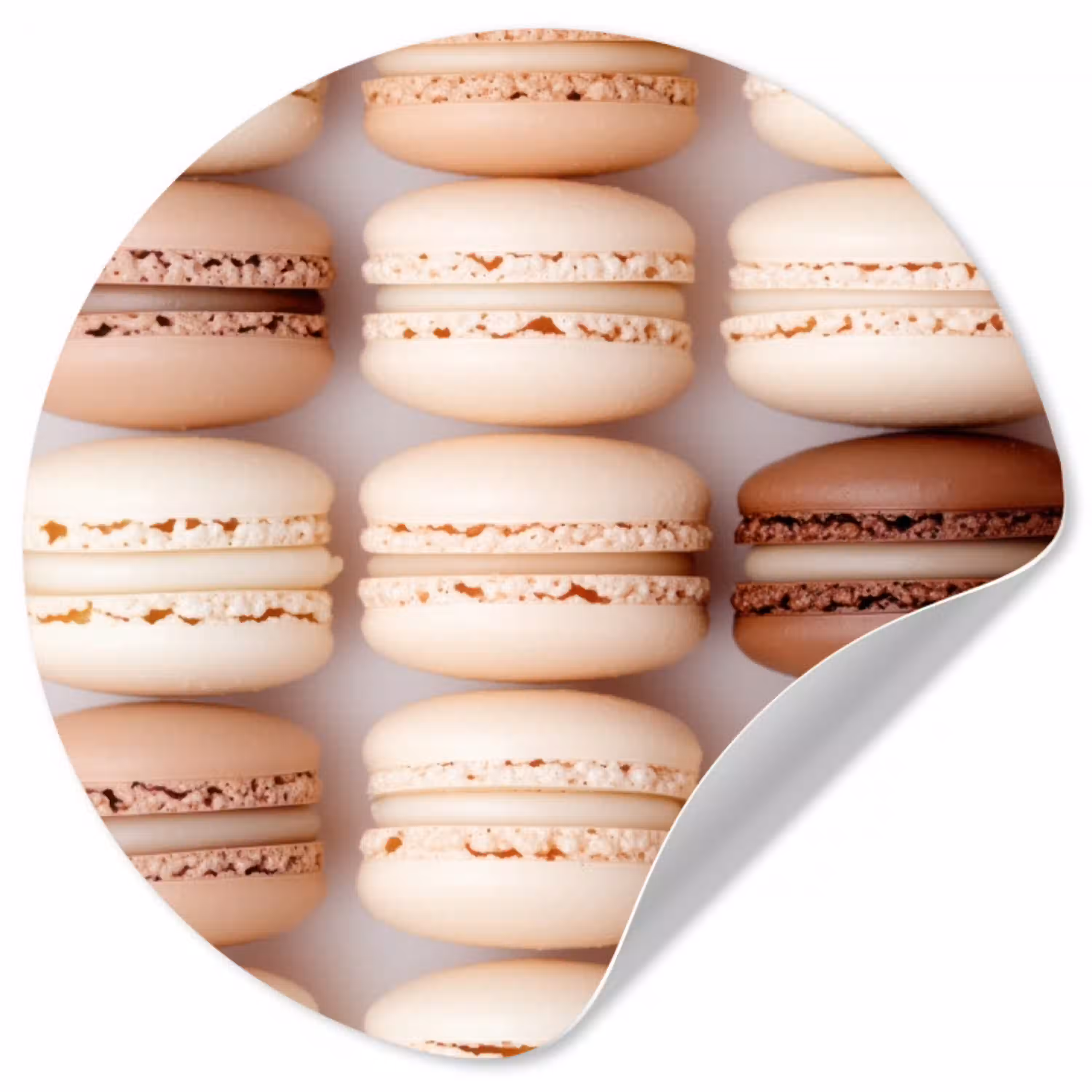 Macarons - Beige - Bruin Wandcirkel behangsticker klein -3d
