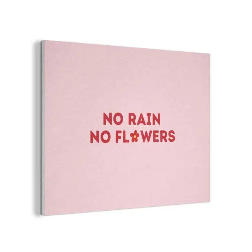 No rain no flowers - Minimalistisch - Roze - Bloem PET vilt klein -3d