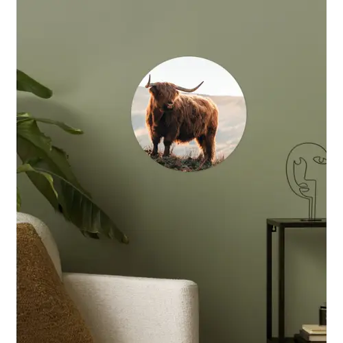 Schotse hooglander - Dieren - Landelijk - Landschap - Koe - Natuur Wandcirkel behangsticker klein -sfeer2