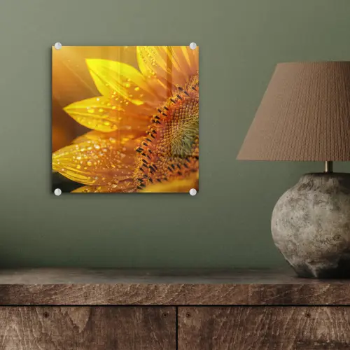 Zonnebloem - Dauwdruppels - Geel - Zonlicht plexiglas 5mm klein -sfeer3