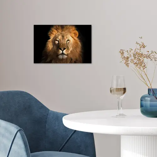 Leeuw - Dieren - Zwart - Licht - Bruin - Portret poster papier klein -sfeer3