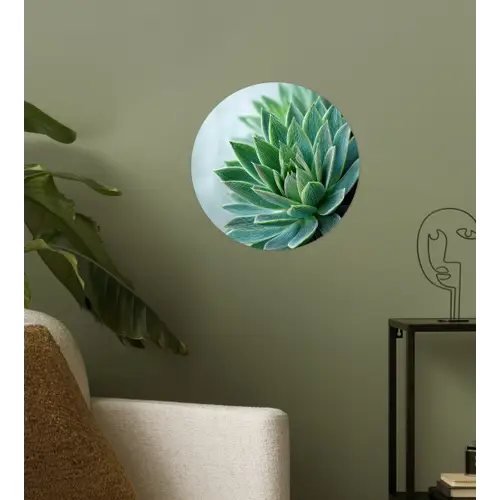 Vetplant - Bladeren - Groen - Wazig Wandcirkel behangsticker klein -sfeer2