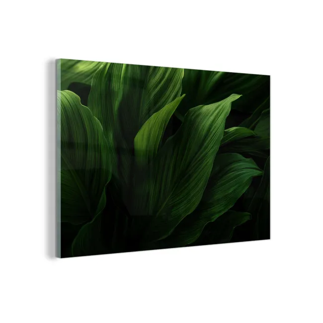 Glas schilderij - Bladeren - Schaduw - Groen - Textuur