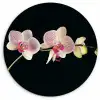 Orchidee - Bloemen - Zwart - Roze - Knoppen Wandcirkel kunststof plaat 5mm dik klein -3d