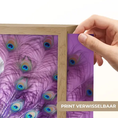 Pauw - Koksmuts - Cool - Paars Light Box met batterij (Wandlamp) middel -USP_websiteprintNL