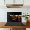 Schotse Hooglander - Horens - Zwart - Dieren - Natuur - Wild - Koe keuken achterwand spatscherm klein -sfeer2