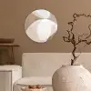 Ovale vormen - Transparant - Zachte overgang Wandcirkel kunststof plaat 5mm dik klein -sfeer1
