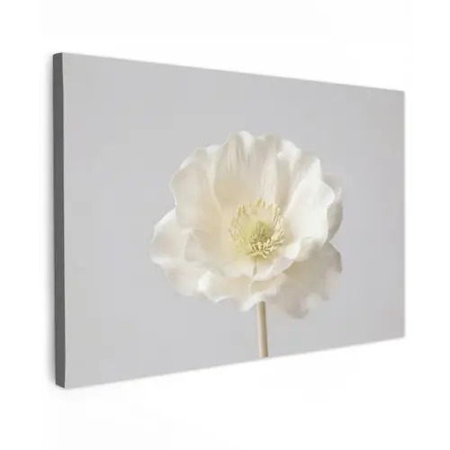 Bloem - Minimalistisch -Wit Tuinposter op houten frame 2 cm dik klein -3d