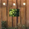 Druiven - Tros - Groen tuinposter los doek klein -sfeer1