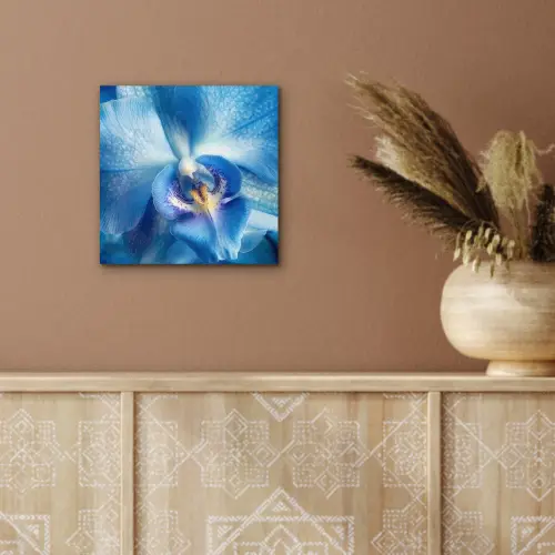Blauw - Orchidee - Elegeant aluminium wit klein -sfeer4