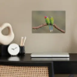 Papagaai - Tak - Natuur - Kleurrijk poster papier klein -sfeer1