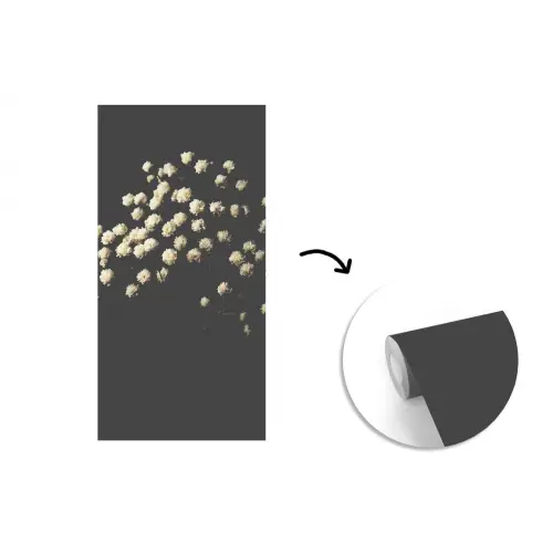 Gipskruid - Bloemetjes - Wit - Minimalistisch fotobehang vinyl groot -3d