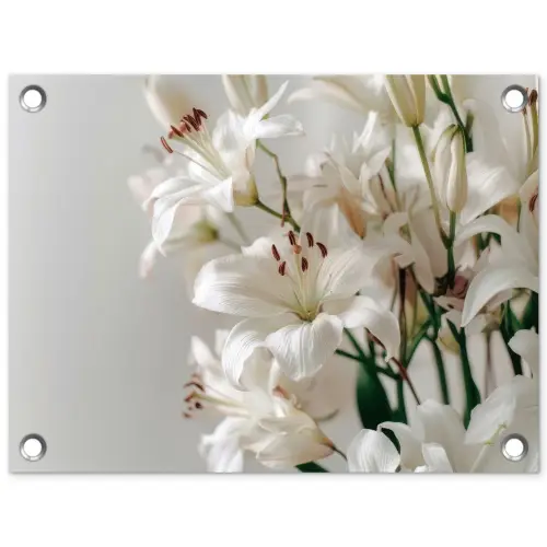 Lelies - Boekte - Wit - Meeldraden tuinposter los doek klein -3d