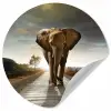 Olifant - Weg - Dieren - Zonsondergang - Landschap Wandcirkel behangsticker klein -3d