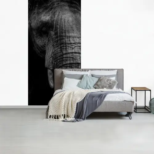 Olifant - Dier - Portret fotobehang vinyl groot -slaapkamer