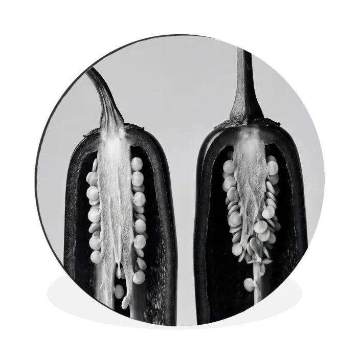 Pepers - Zwart - Wit - Zaadlijsten Wandcirkel aluminium klein -3d