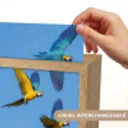 Papagaai - Vliegen - Blauw - Geel Light Box met kabel (Kinderlampje) klein -USP_websiteprintFR