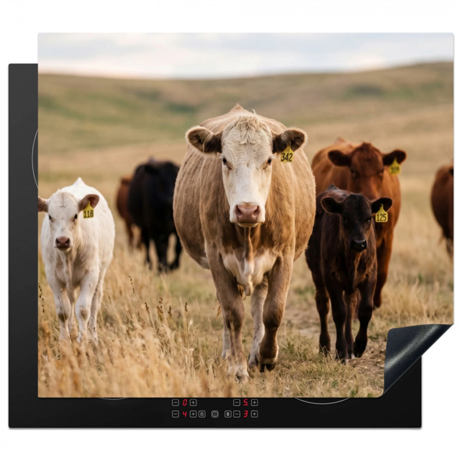 Runderen - Kudde - Landschap - Weide - Rustig Inductie beschermer vinyl 3mm middel -3d