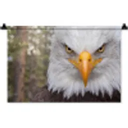Amerikaans - Zeearend - Portret - Geel Wandkleed katoen klein -zz3d