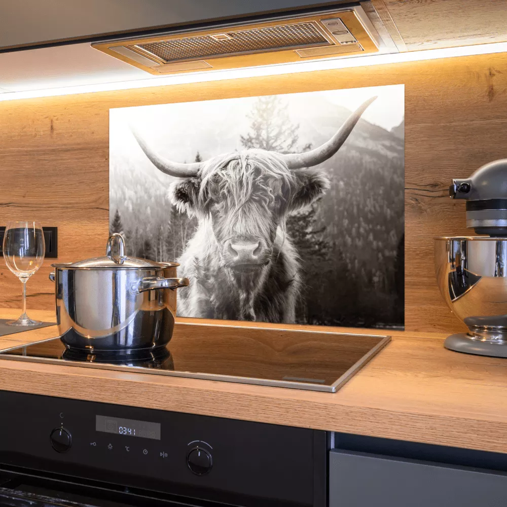 Spatscherm keuken