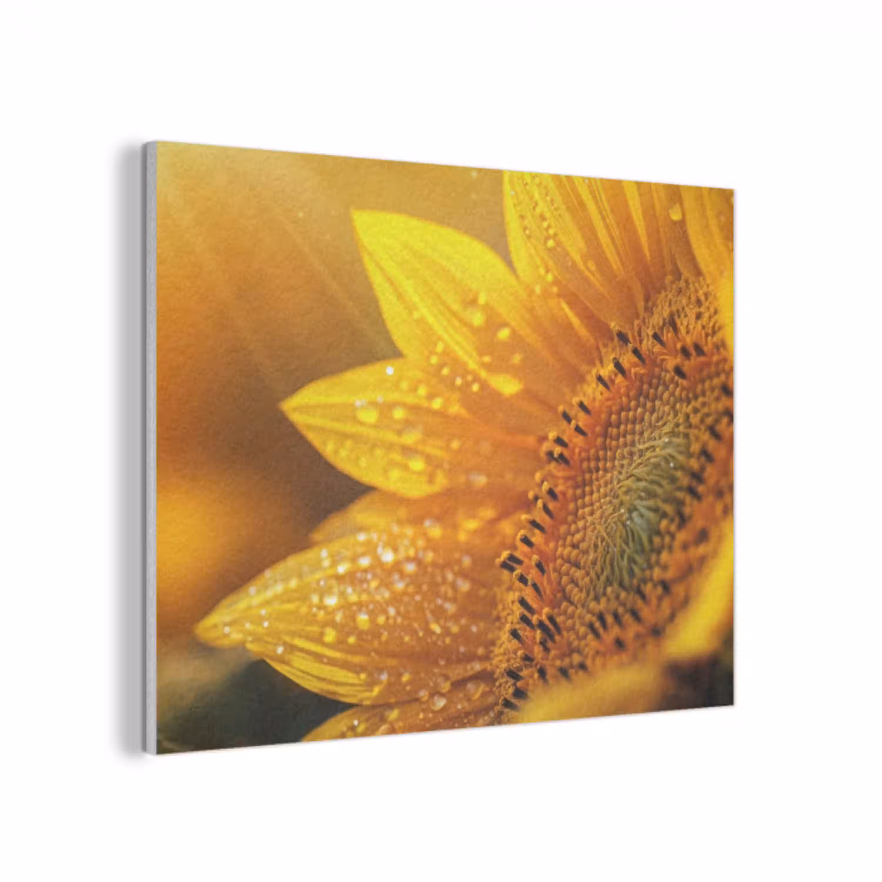 Zonnebloem - Dauwdruppels - Geel - Zonlicht PET vilt klein -3d