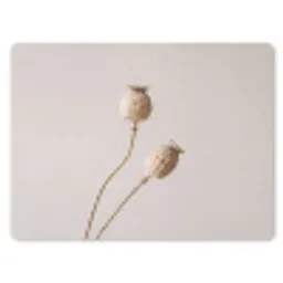 Papaverbollen - Droogbloemen - Minimalistisch - Beige - Rustig muismat rubber klein -3d