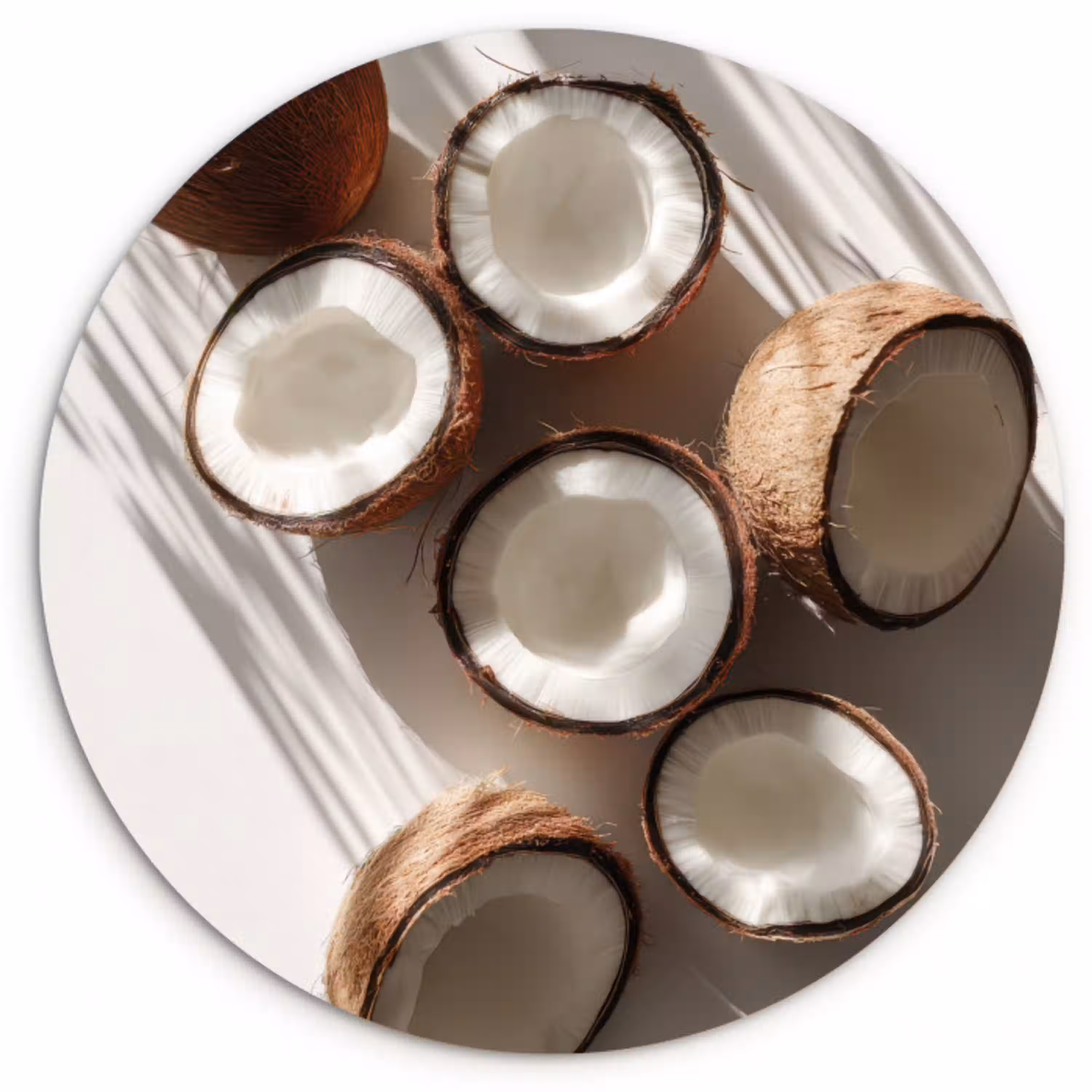 Kokosnoten - Bruin - Shaduw Wandcirkel plexiglas klein -3d
