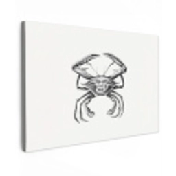 Ernst Haeckel - Vintage - Kunst - Krab canvas 2cm klein -z3d