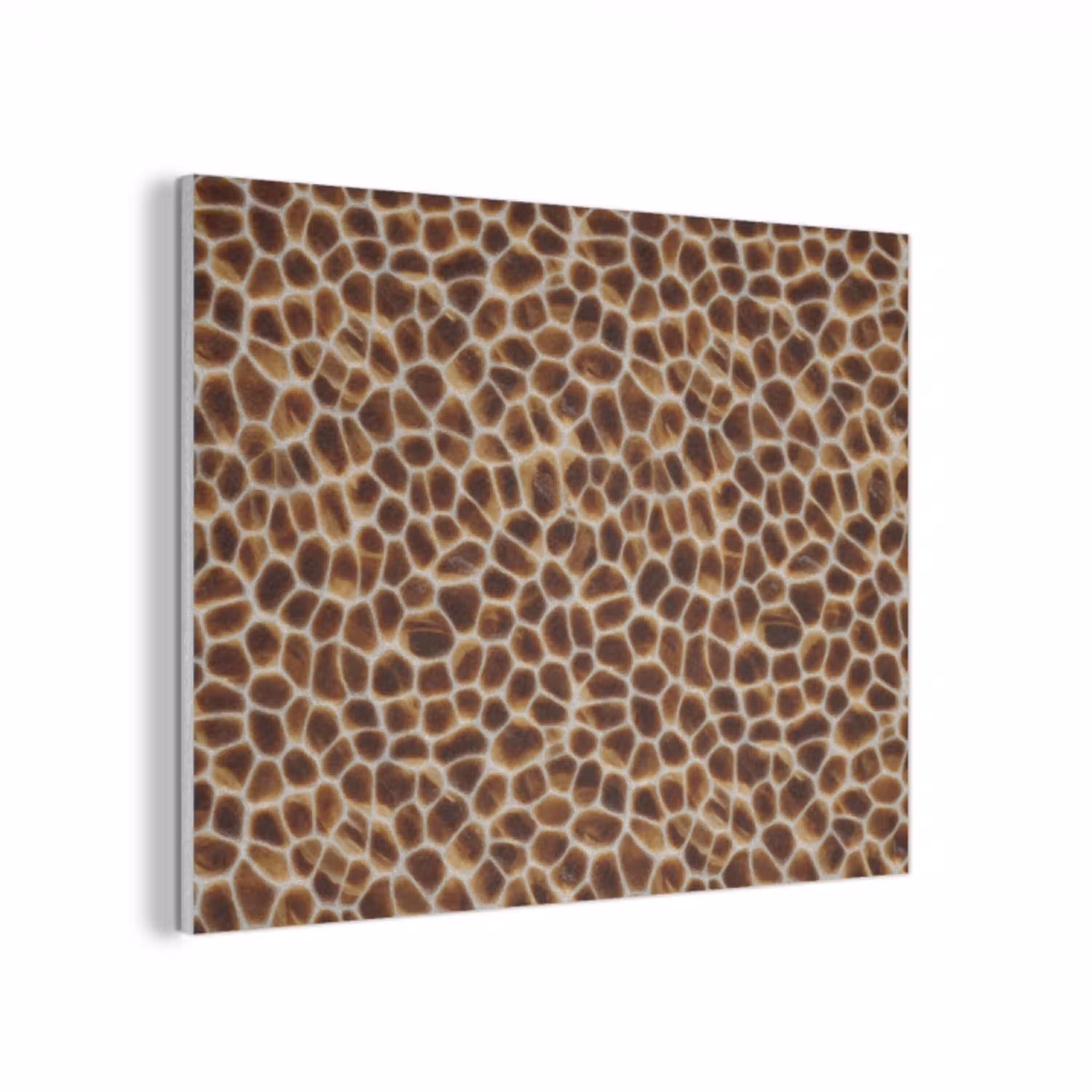 Schildpad - Bruin - Patroon PET vilt klein 837 -3d