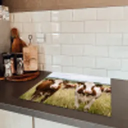 Koeien - Portret - Weide - Boerderij - Nieuwsgierig Inductie beschermer vinyl 3mm middel -sfeer3