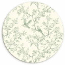 Klassiek - Vogels - Groen Wandcirkel kunststof plaat 5mm dik klein 188 -3d