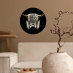 Schotse hooglander - Goud - Hoorns - Zwart wit - Koe - Dieren Wandcirkel behangsticker klein -sfeer1