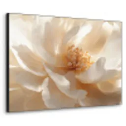 Close up - Pioenroos - Wit Textielframe zwart klein -3d