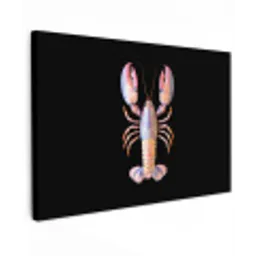 Kreeft - Roze - Zacht - Zwart Tuinposter op houten frame 2 cm dik klein -3d