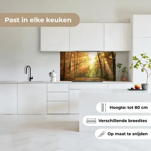 Bos - Herfst - Zon - Landschap - Natuur - Bomen - Bladeren keuken achterwand 2 middel -sfeer4_NL