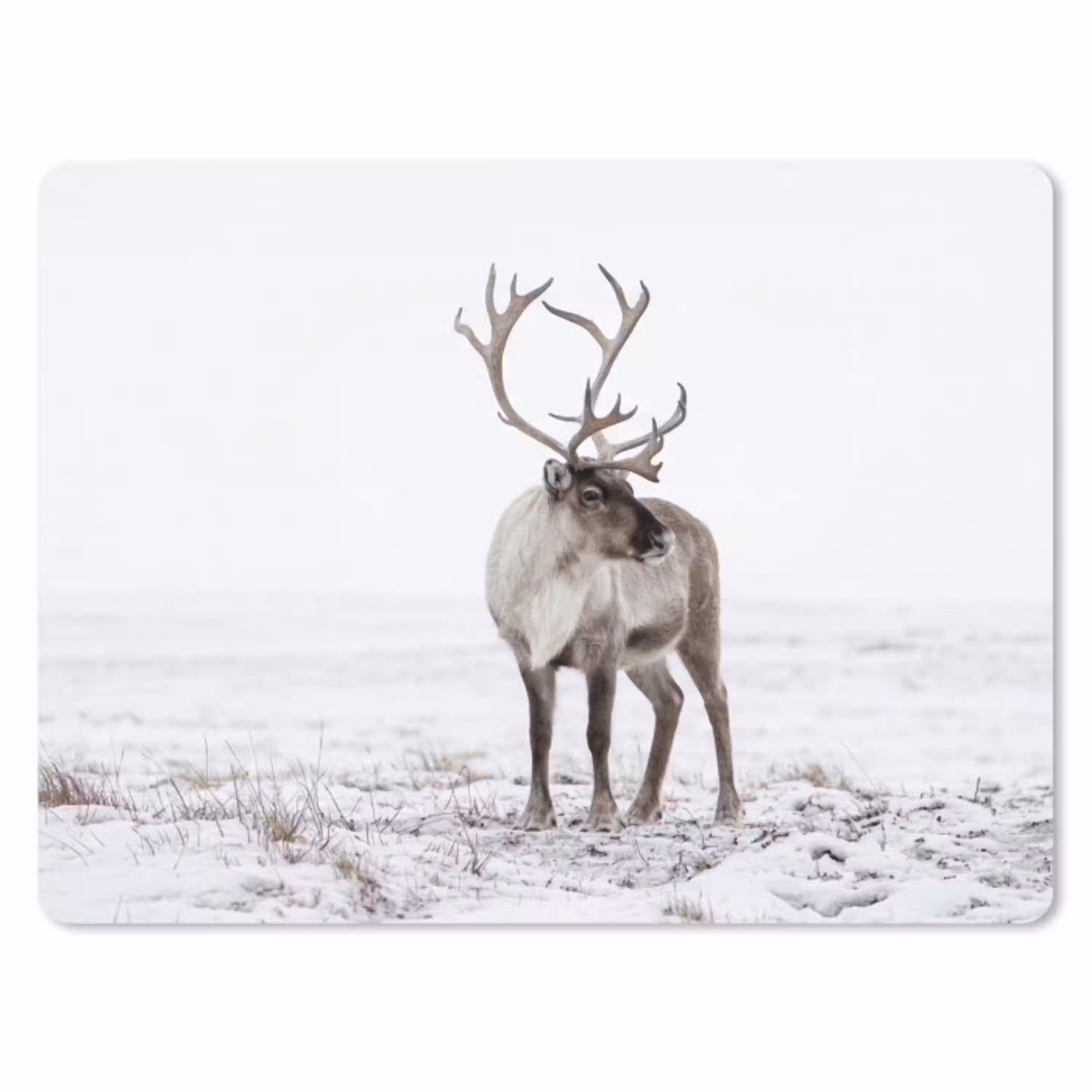 Rendier - Gewei - Sneeuw - Winter muismat rubber klein -3d