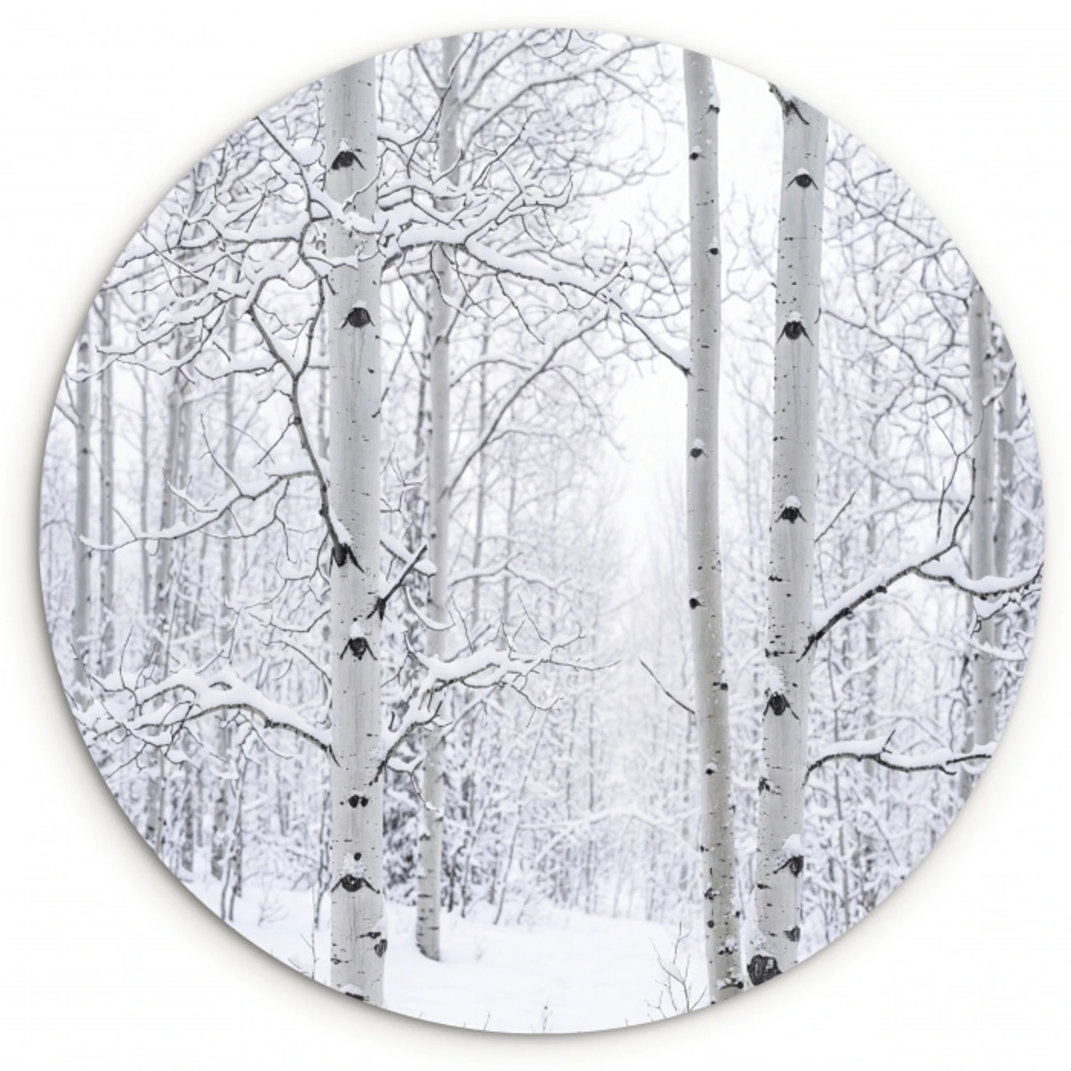 Berkenbomen - Sneeuw - Winter - Bos - Wit Wandcirkel kunststof plaat 5mm dik klein -3d