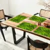 Groen - Zwart - Zebra Placemat vinyl groot 368 -zzsfeer4_Kitchenyeah-website