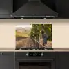 Druiven - Wijngaard - Zonlicht keuken achterwand spatscherm klein -sfeer1