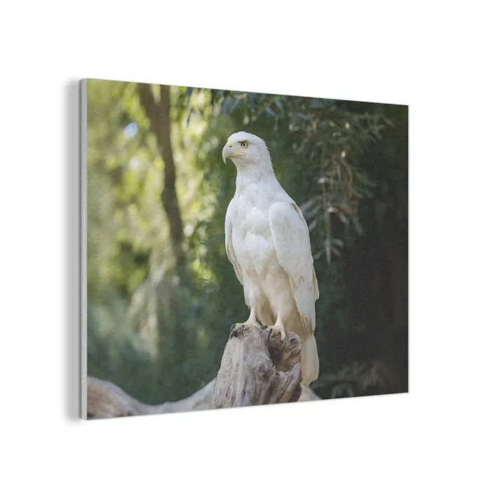 Arend - Hout - Wit - Planten PET vilt klein -3d
