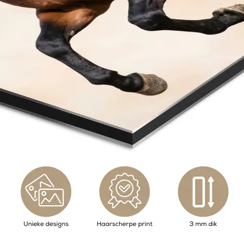 Paard - Galop - Energie aluminium wit klein -closeup_NL
