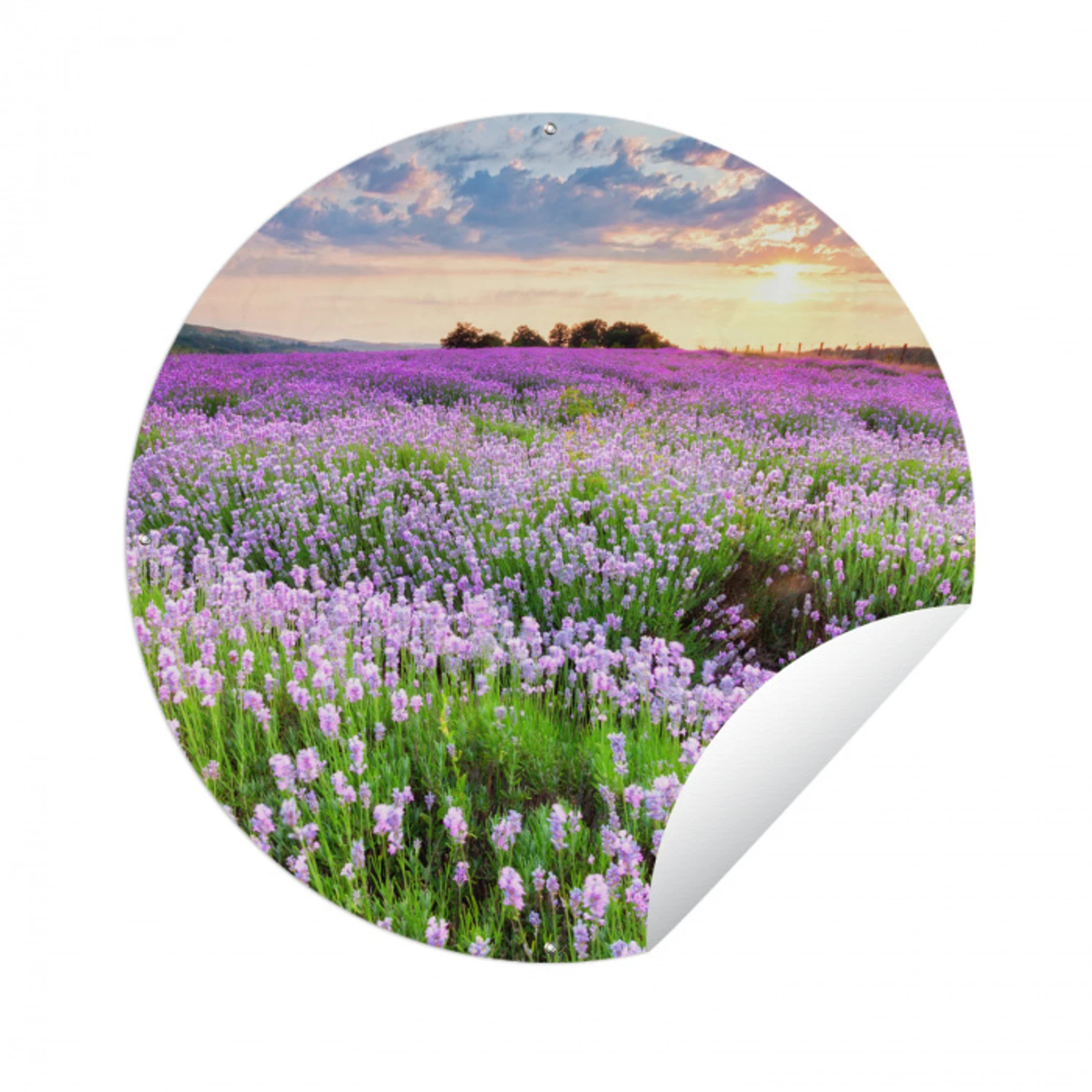 Bloemen - Lavendel - Paars - Lucht - Zonsondergang - Weide - Natuur Wandcirkel tuinposter met ringen klein -3d